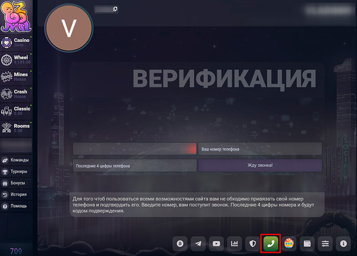 Поля для ввода номера