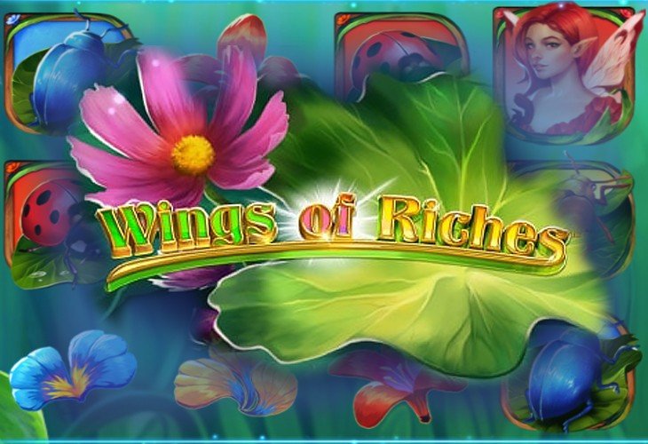 Wings of Riches Wings of Riches