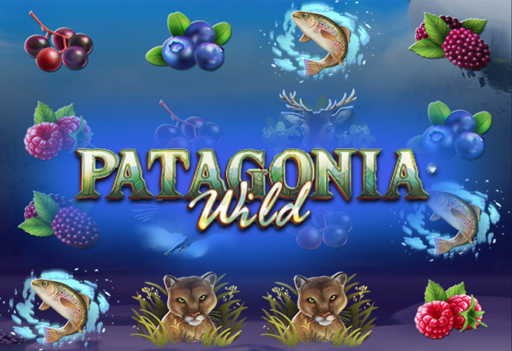 Patagonia Wild Patagonia Wild