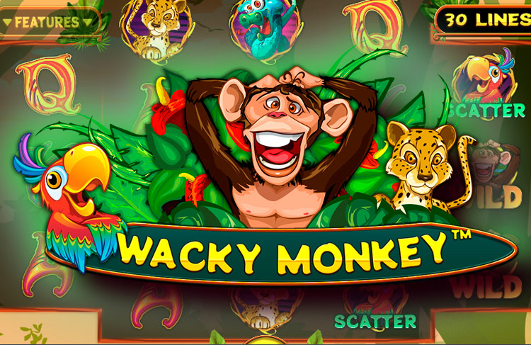 Wacky Monkey Wacky Monkey