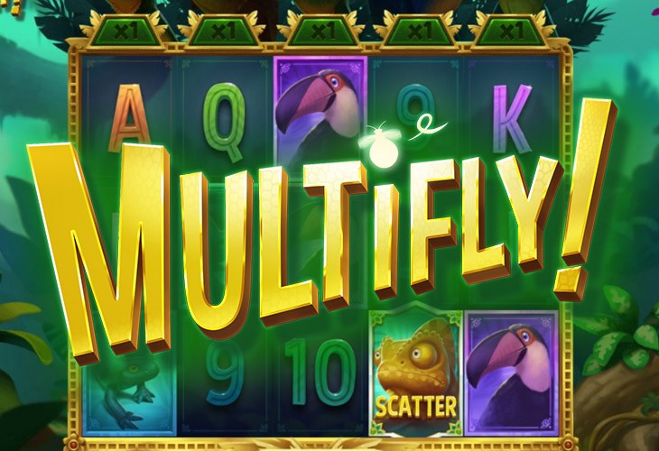 Multifly Multifly