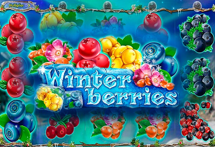 Winterberries Winterberries