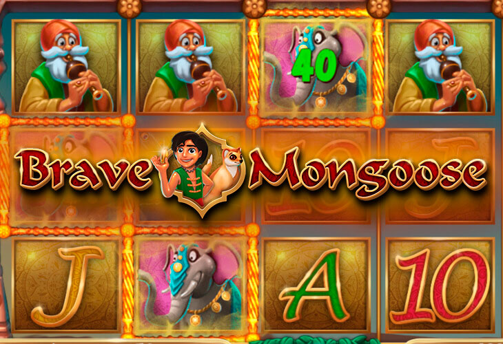 Brave Mongoose Brave Mongoose