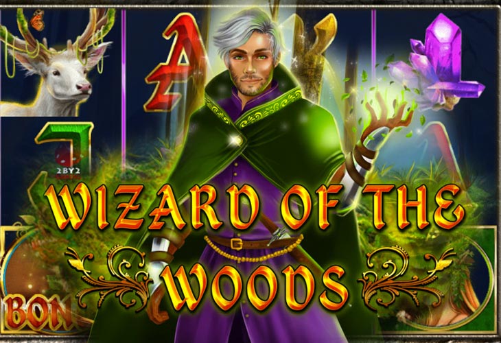 Wizard of the Woods Wizard of the Woods