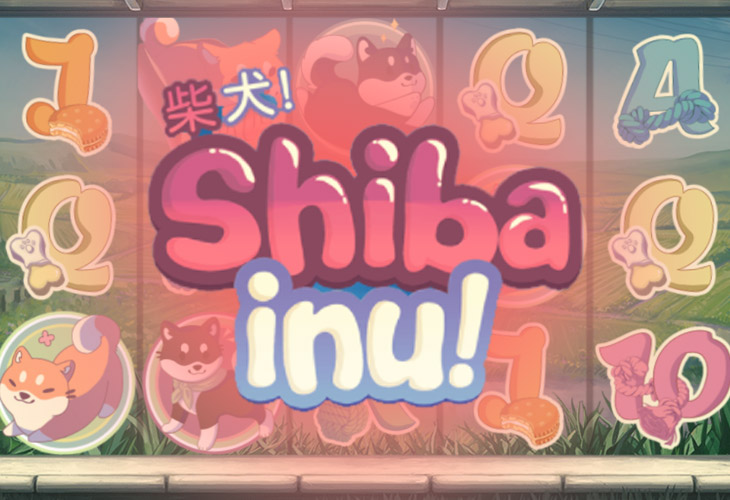 Shiba Inu Shiba Inu