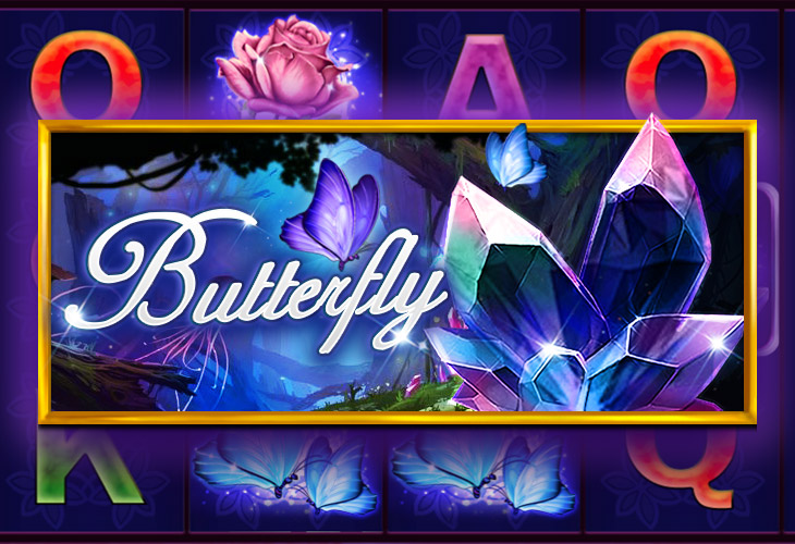 Butterfly Butterfly