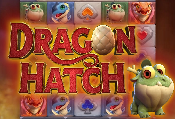Dragon Hatch Dragon Hatch