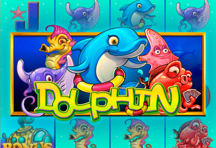 Dolphin Dolphin