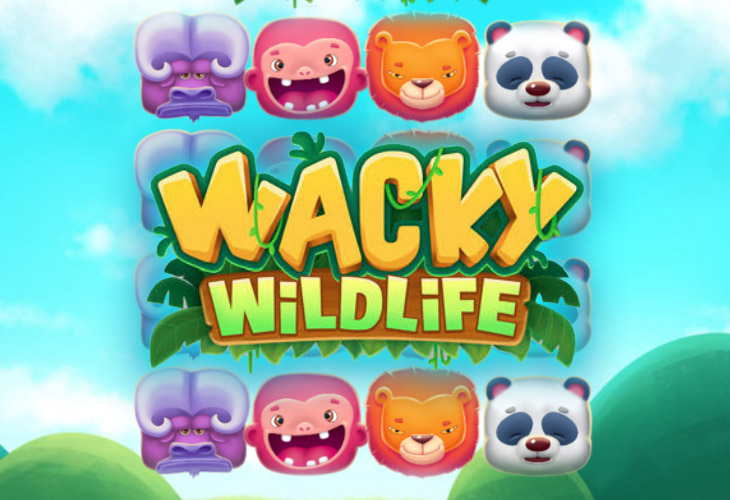 Wacky Wildlife Wacky Wildlife
