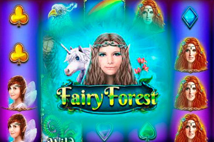 Fairy Forest Fairy Forest