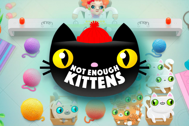 Not Enough Kittens Not Enough Kittens