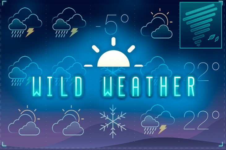 Wild Weather Wild Weather