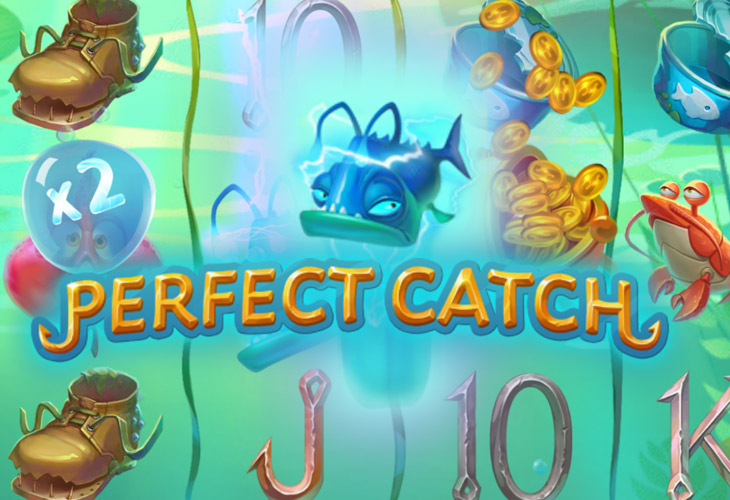 Perfect Catch Perfect Catch