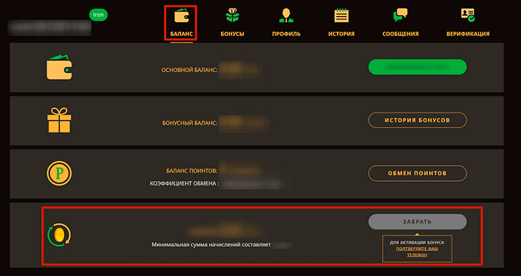 Раздел для просмотра основного и бонусного счетов