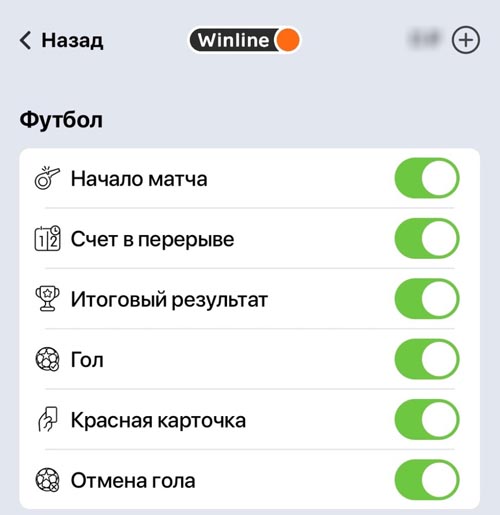 Список пушей