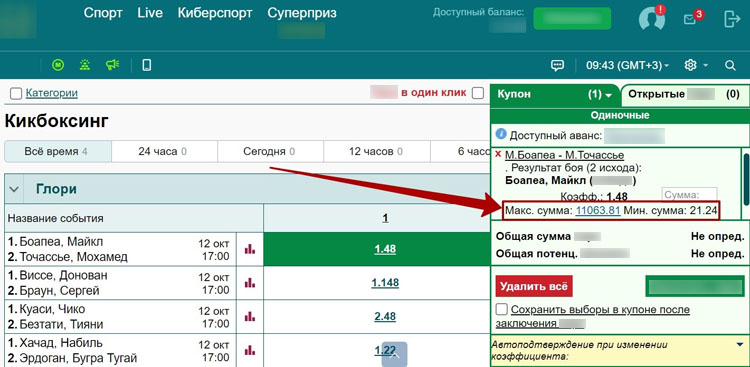 Букмекер с Единым ЦУПИС