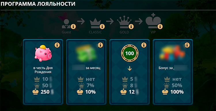VIP-программа